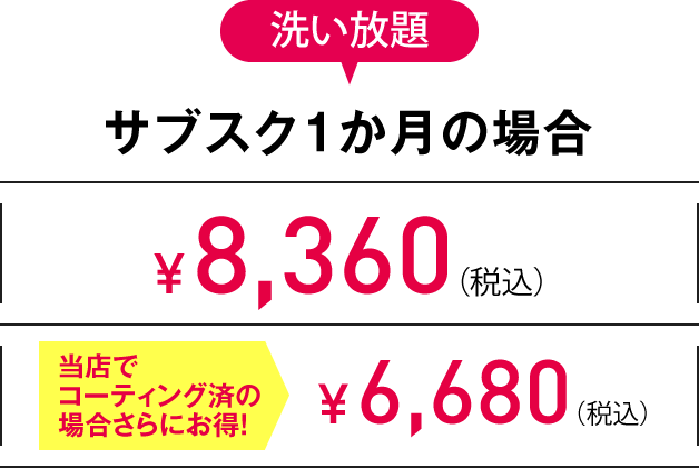 2L 洗い放題サブスク1か月の場合