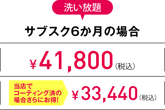 2L 洗い放題サブスク6か月の場合