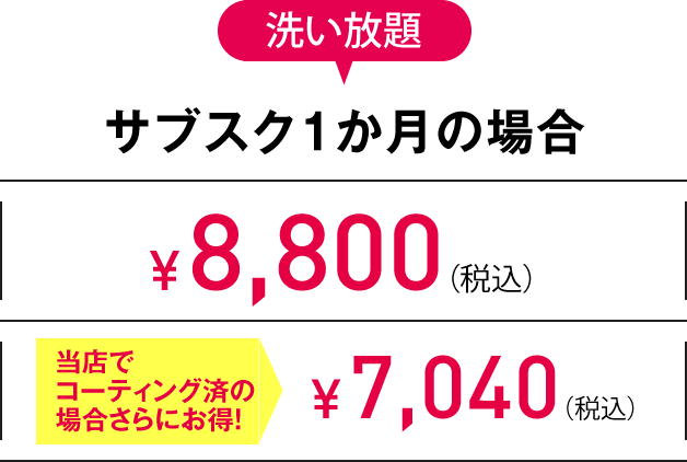 3L 洗い放題サブスク1か月の場合