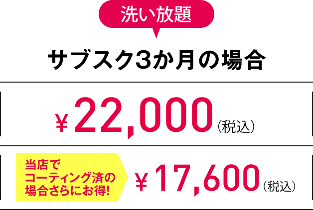 3L 洗い放題サブスク3か月の場合