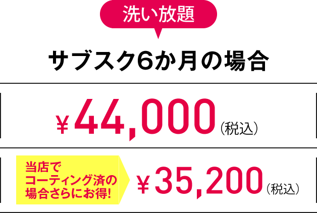 3L 洗い放題サブスク6か月の場合
