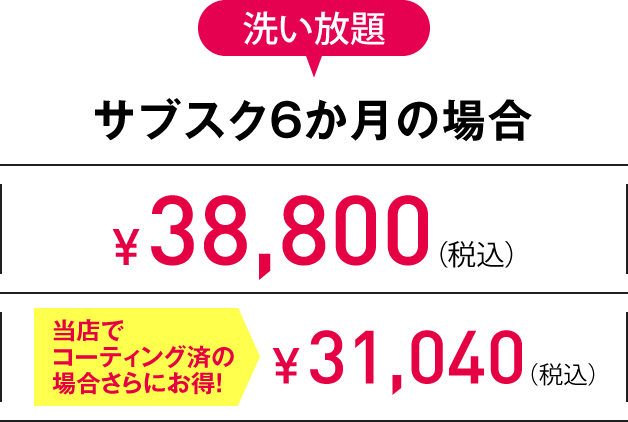 L 洗い放題サブスク6か月の場合
