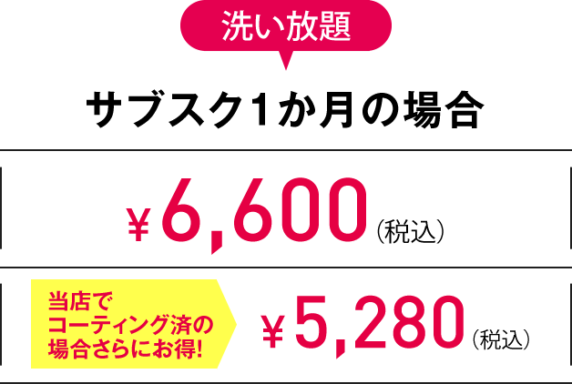S 洗い放題サブスク1か月の場合