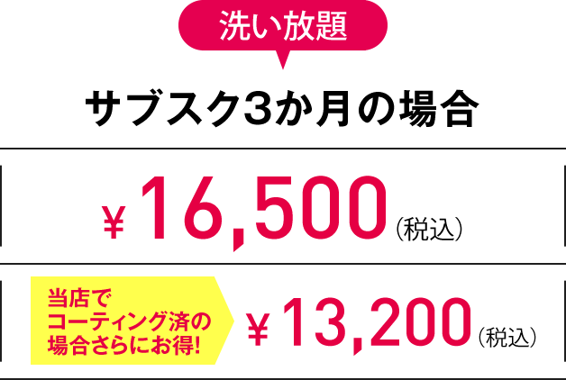 S 洗い放題サブスク3か月の場合