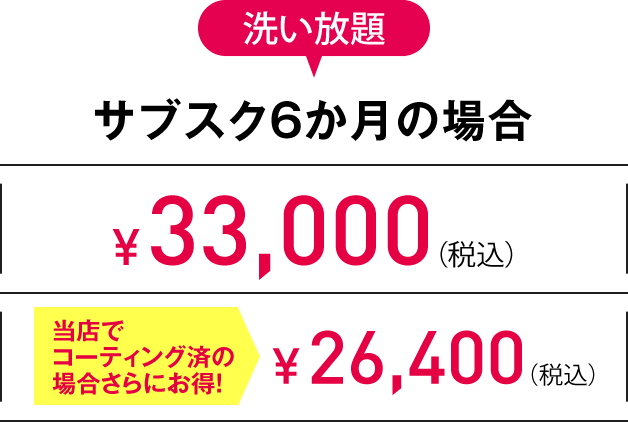 S 洗い放題サブスク6か月の場合