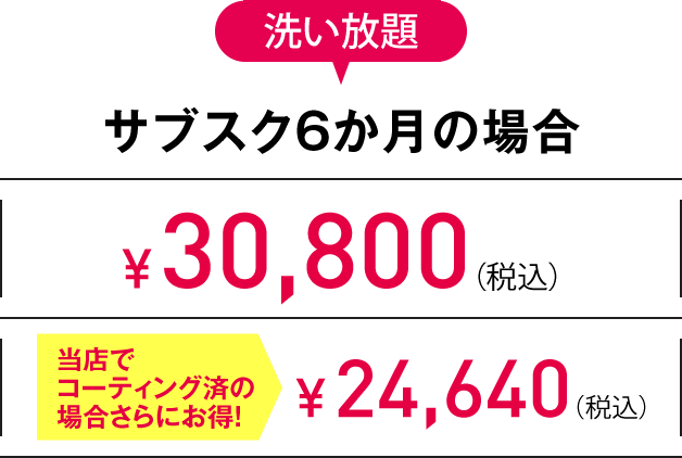 SS 洗い放題サブスク6か月の場合