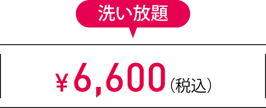 洗い放題　¥6,600（税込）